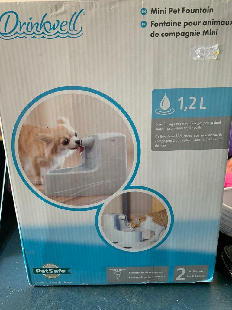 dog bowls argos